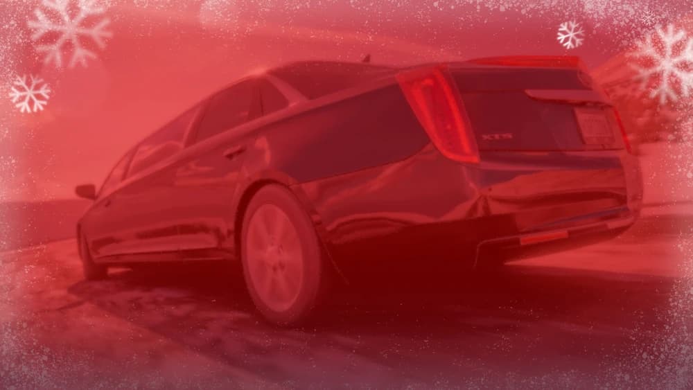 Series 15: Horizon Holidays